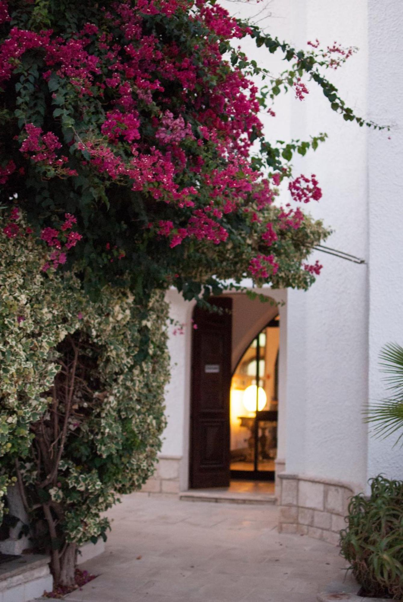 Leone De Castris Wine Hotel 3*
